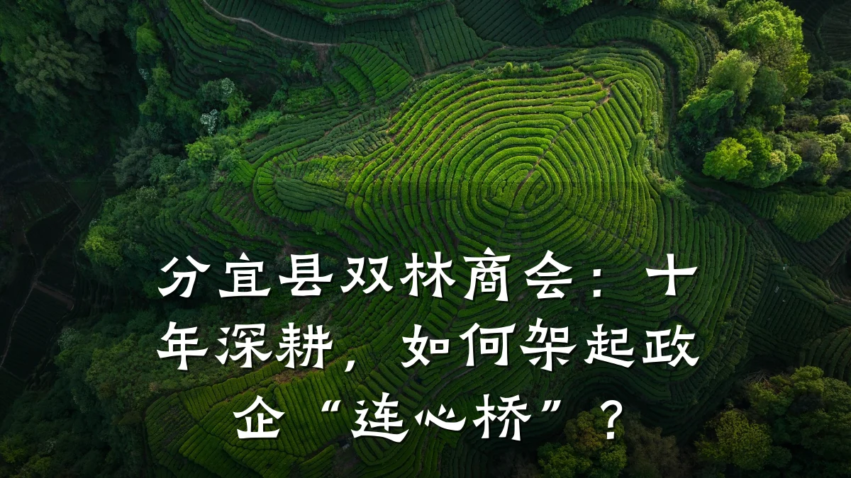 分宜县双林商会:十年深耕,如何架起政企“连心桥”?