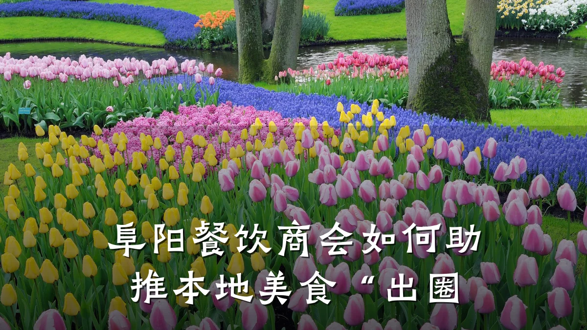 阜阳餐饮商会如何助推本地美食“出圈