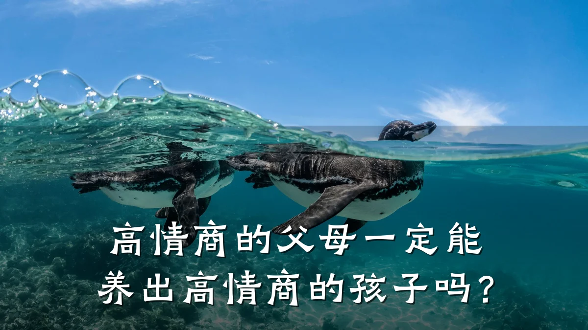 高情商的父母一定能养出高情商的孩子吗?