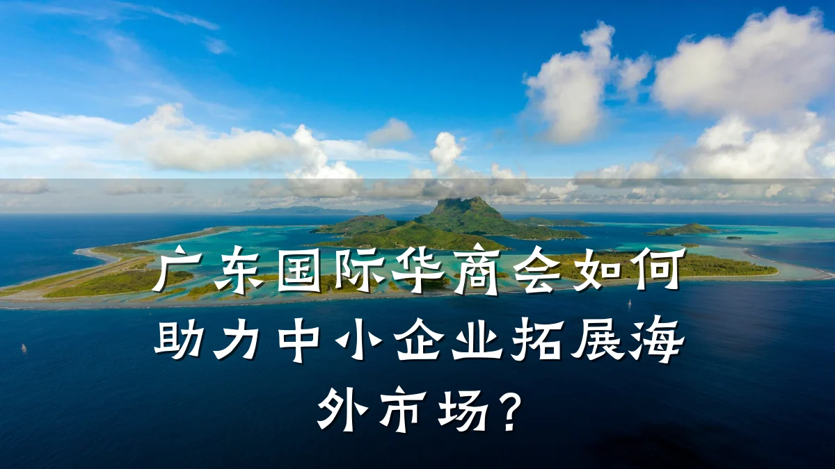 广东国际华商会如何助力中小企业拓展海外市场?