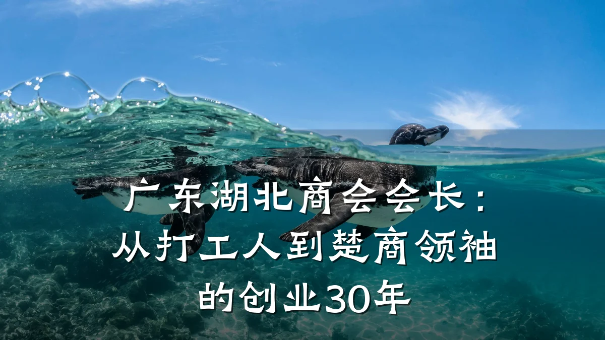 广东湖北商会会长:从打工人到楚商领袖的创业30年