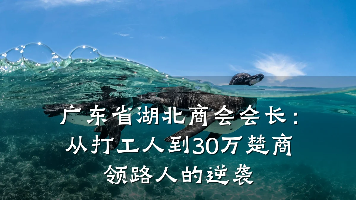广东省湖北商会会长：从打工人到30万楚商领路人的逆袭