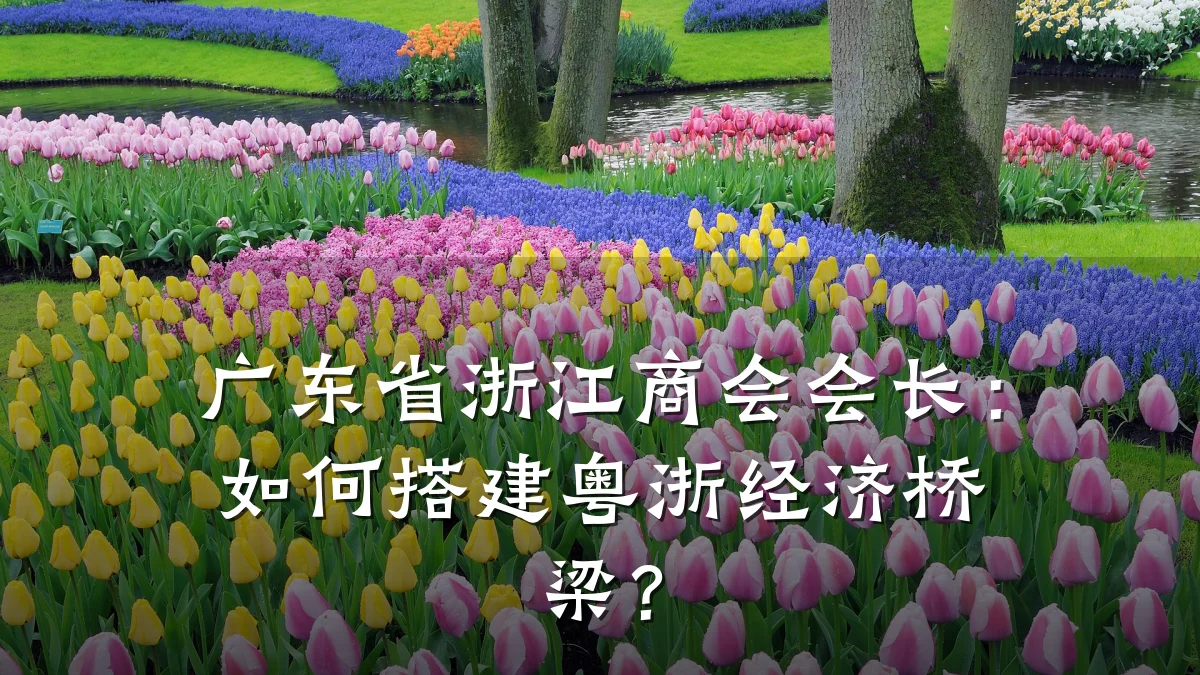 广东省浙江商会会长:如何搭建粤浙经济桥梁?