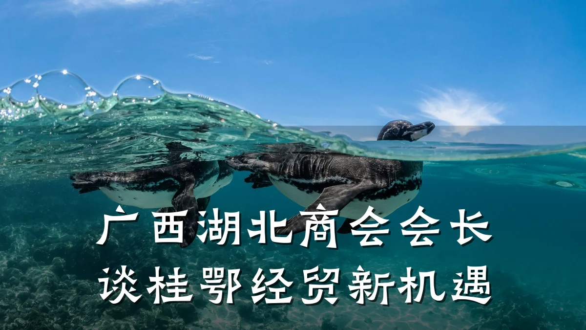 广西湖北商会会长谈桂鄂经贸新机遇