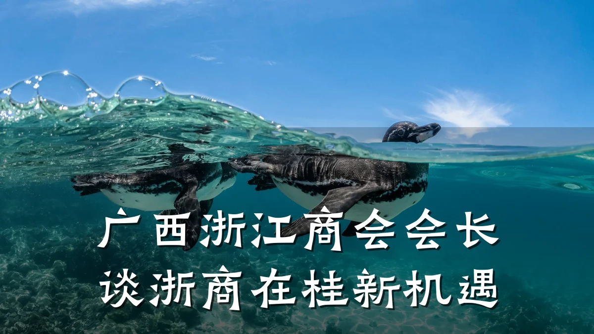 广西浙江商会会长谈浙商在桂新机遇