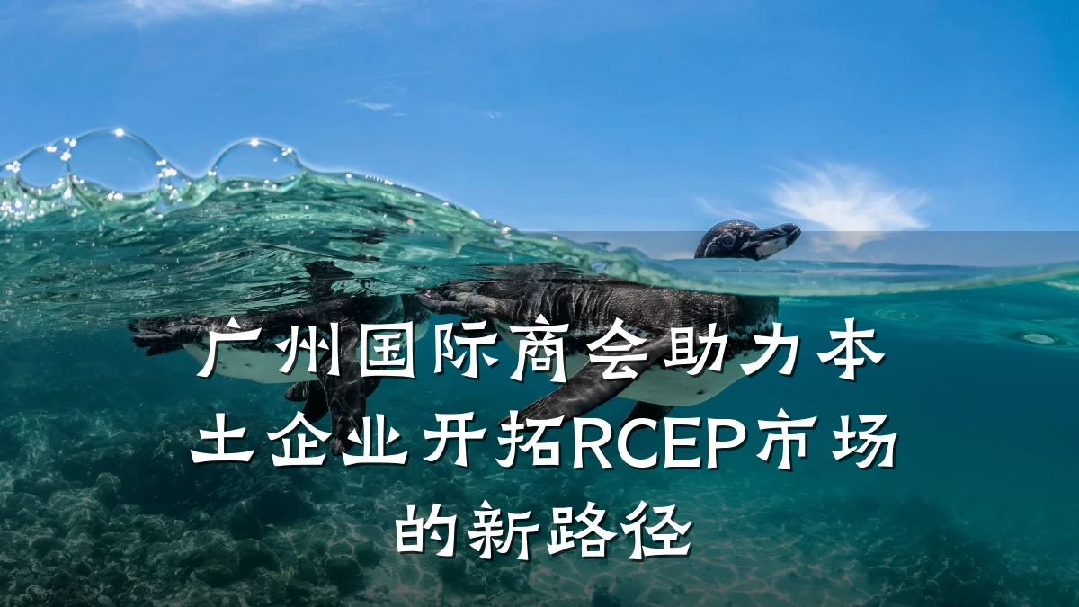 广州国际商会助力本土企业开拓RCEP市场的新路径