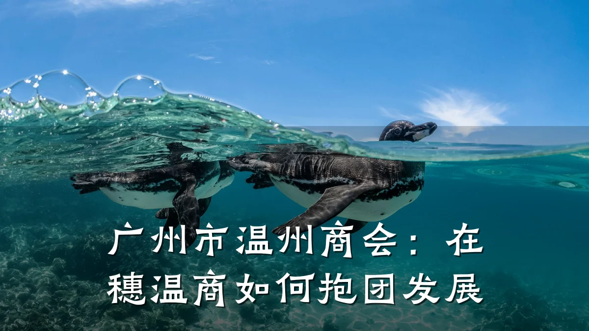 广州市温州商会:在穗温商如何抱团发展