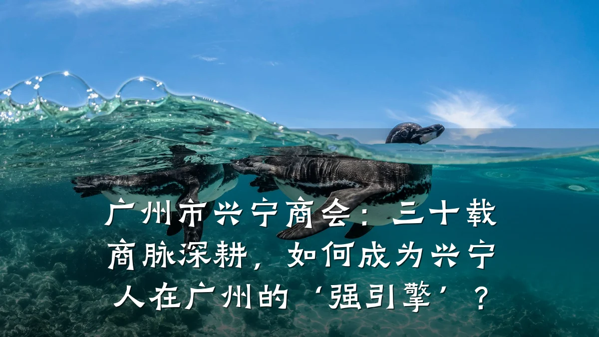 广州市兴宁商会:三十载商脉深耕,如何成为兴宁人在广州的‘强引擎’?