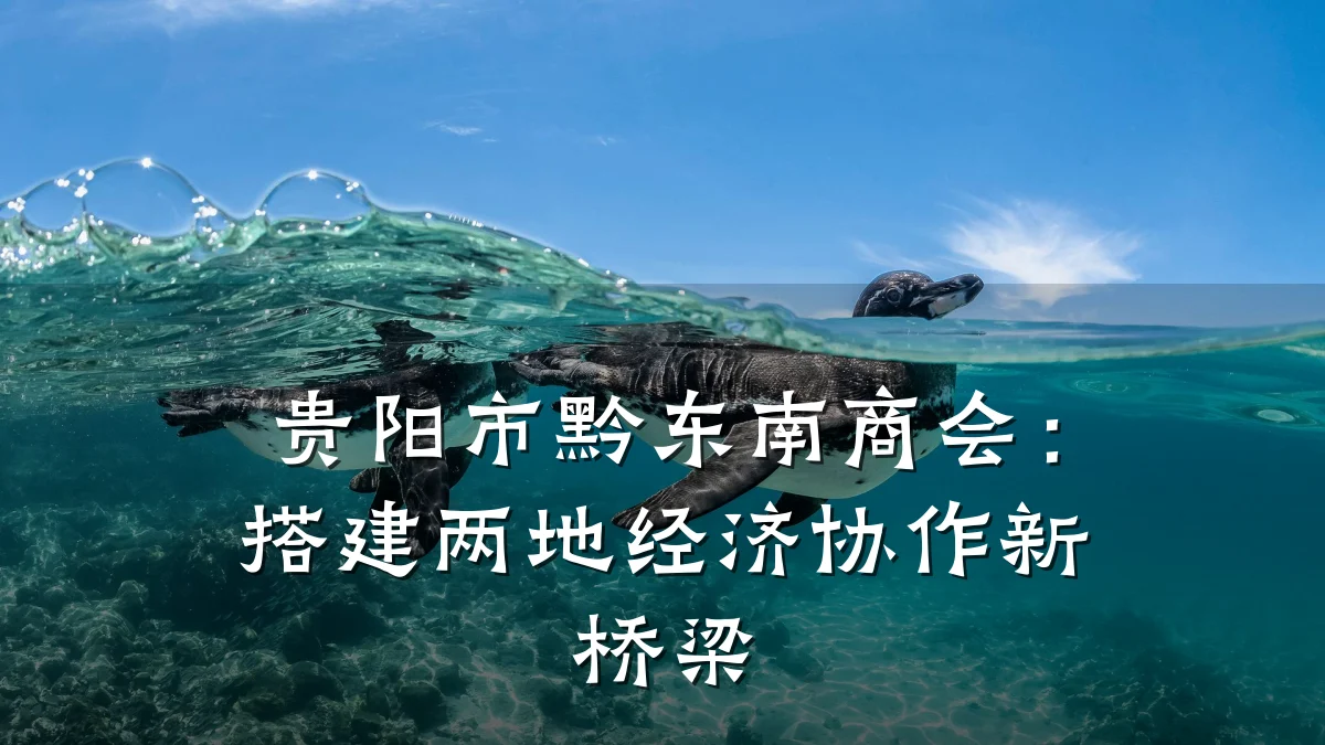 贵阳市黔东南商会:搭建两地经济协作新桥梁
