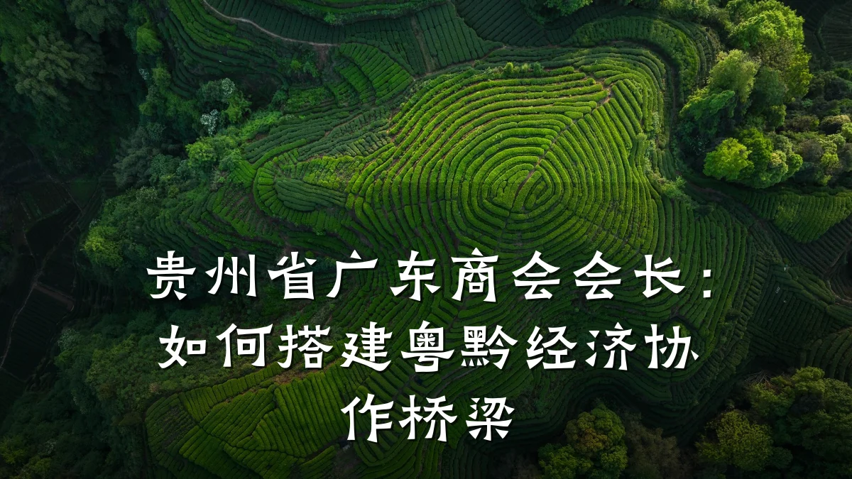 贵州省广东商会会长：如何搭建粤黔经济协作桥梁