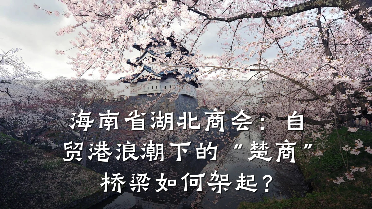 海南省湖北商会:自贸港浪潮下的“楚商”桥梁如何架起?