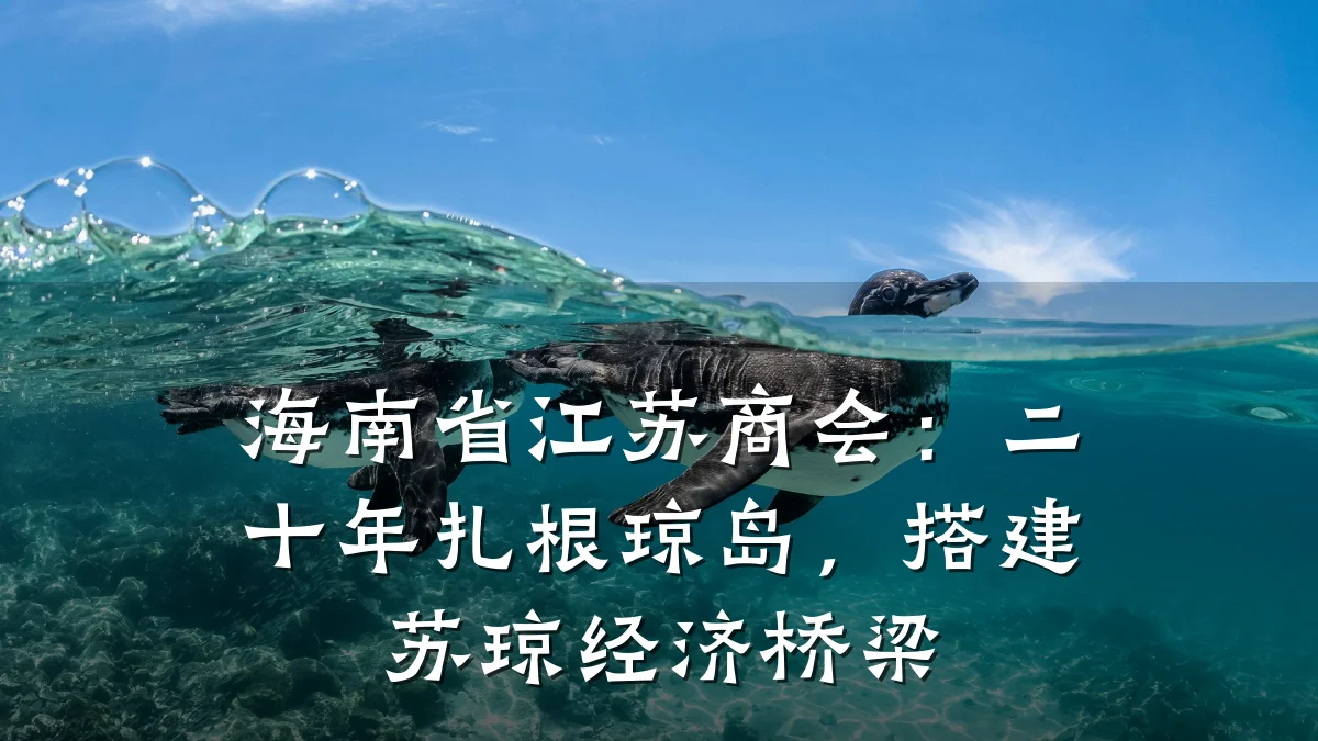 海南省江苏商会:二十年扎根琼岛,搭建苏琼经济桥梁