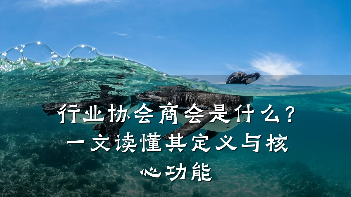 行业协会商会是什么?一文读懂其定义与核心功能