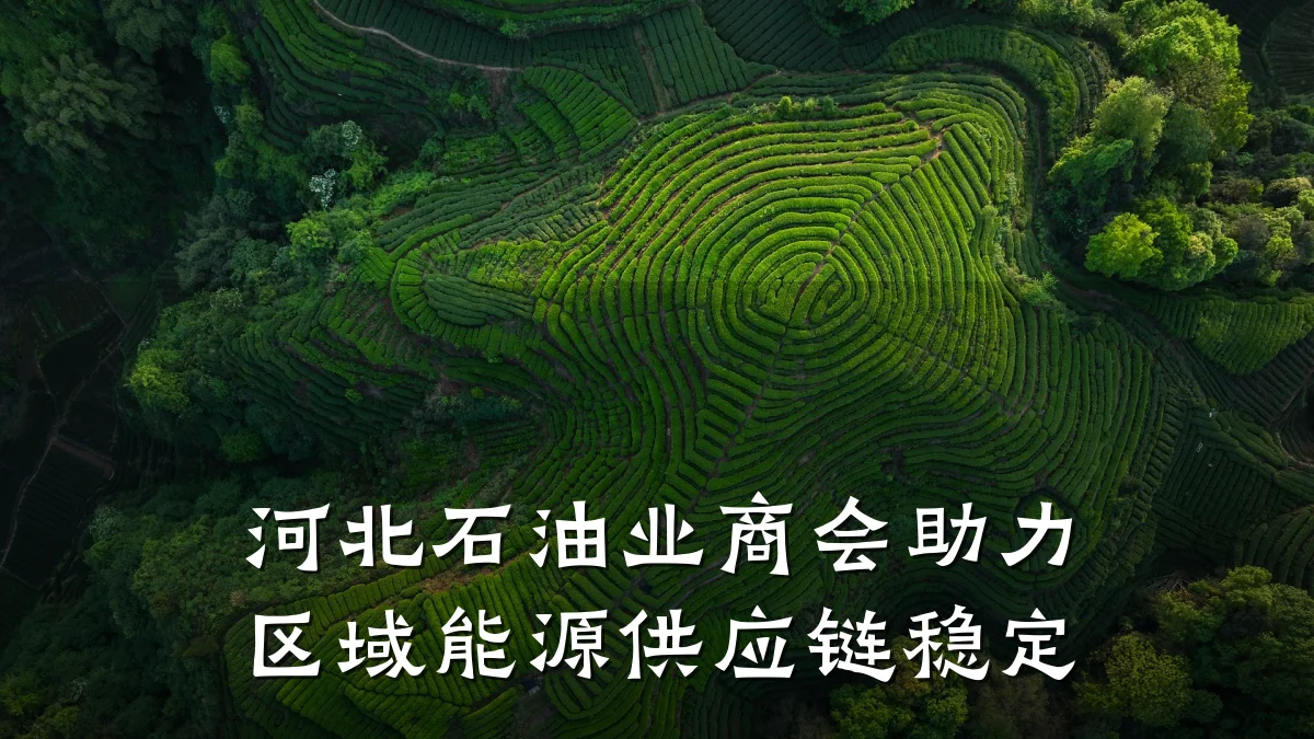 河北石油业商会助力区域能源供应链稳定