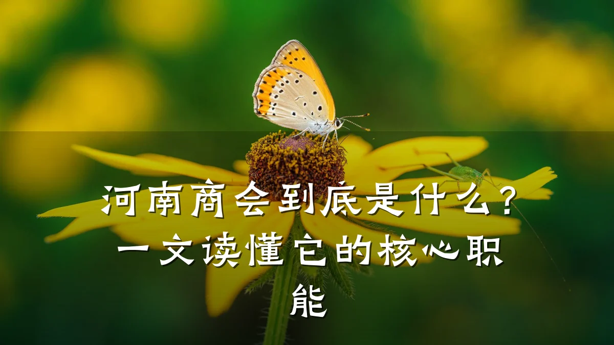 河南商会到底是什么?一文读懂它的核心职能