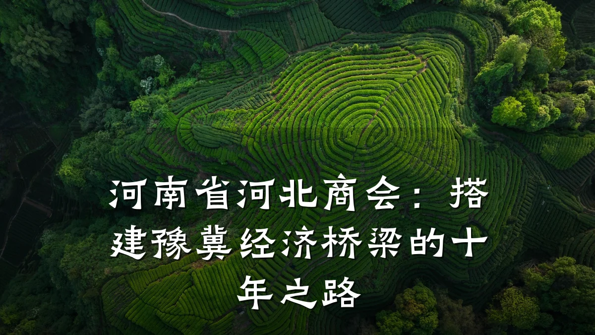 河南省河北商会:搭建豫冀经济桥梁的十年之路