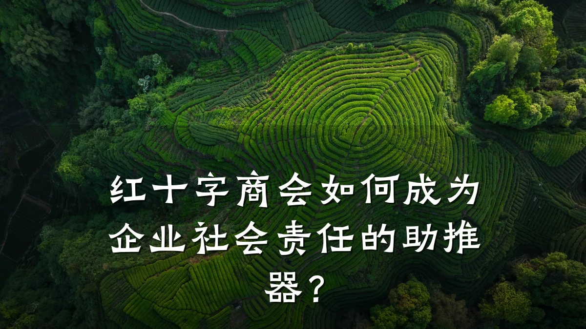 红十字商会如何成为企业社会责任的助推器?