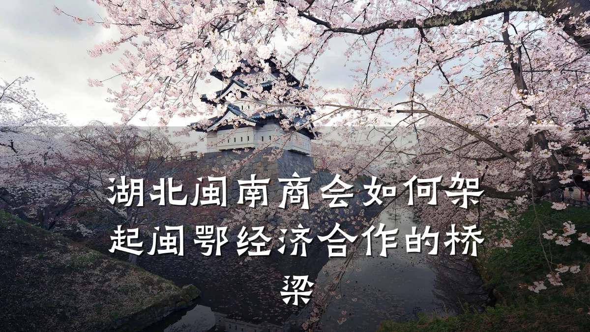 湖北闽南商会如何架起闽鄂经济合作的桥梁