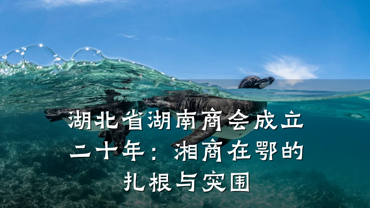 湖北省湖南商会成立二十年:湘商在鄂的扎根与突围