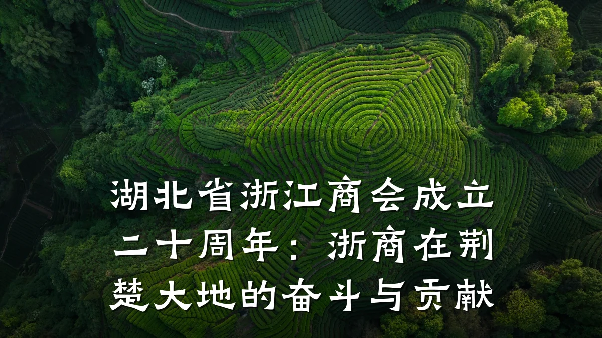 湖北省浙江商会成立二十周年:浙商在荆楚大地的奋斗与贡献
