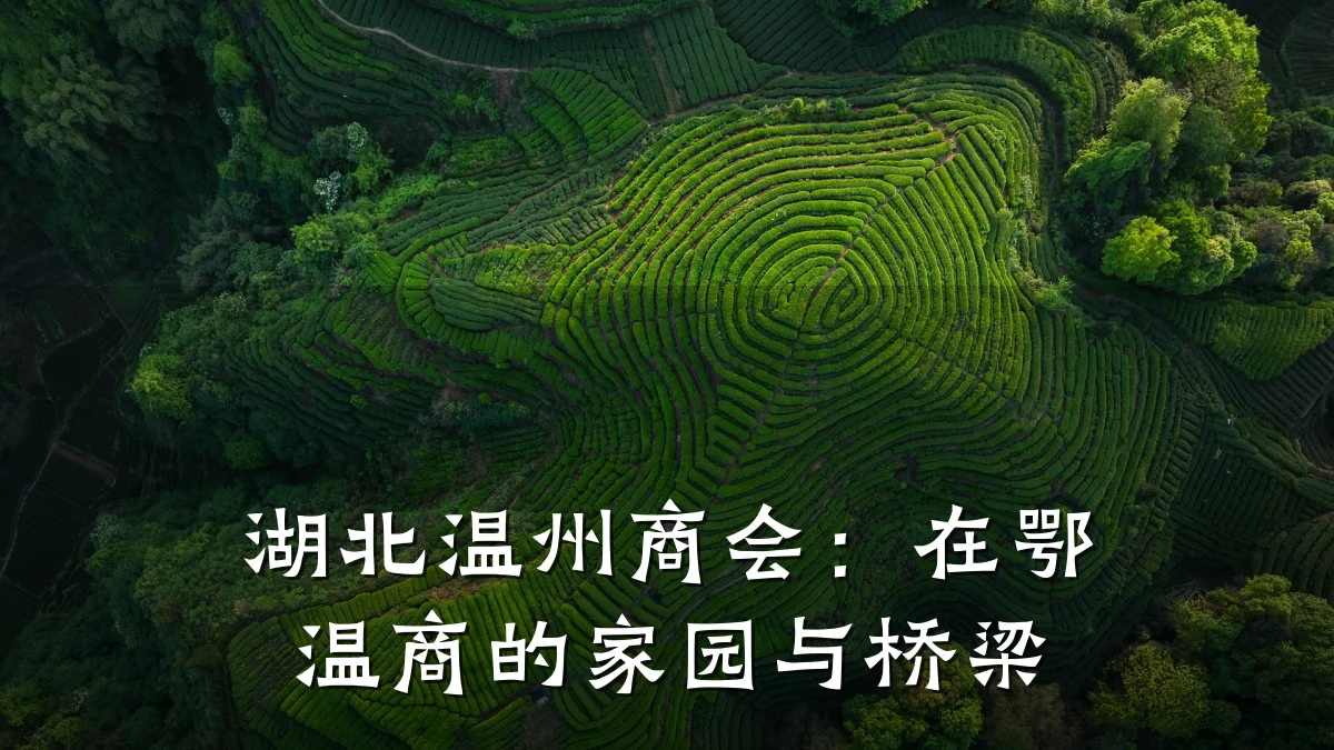 湖北温州商会:在鄂温商的家园与桥梁