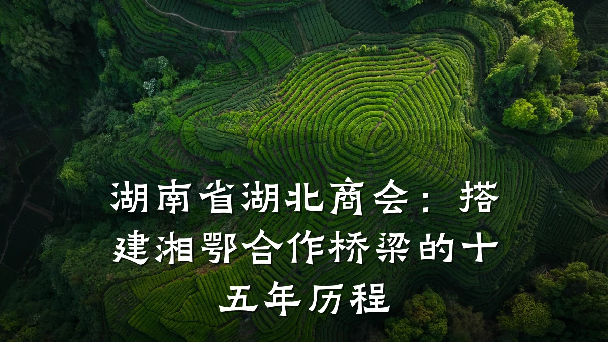 湖南省湖北商会:搭建湘鄂合作桥梁的十五年历程