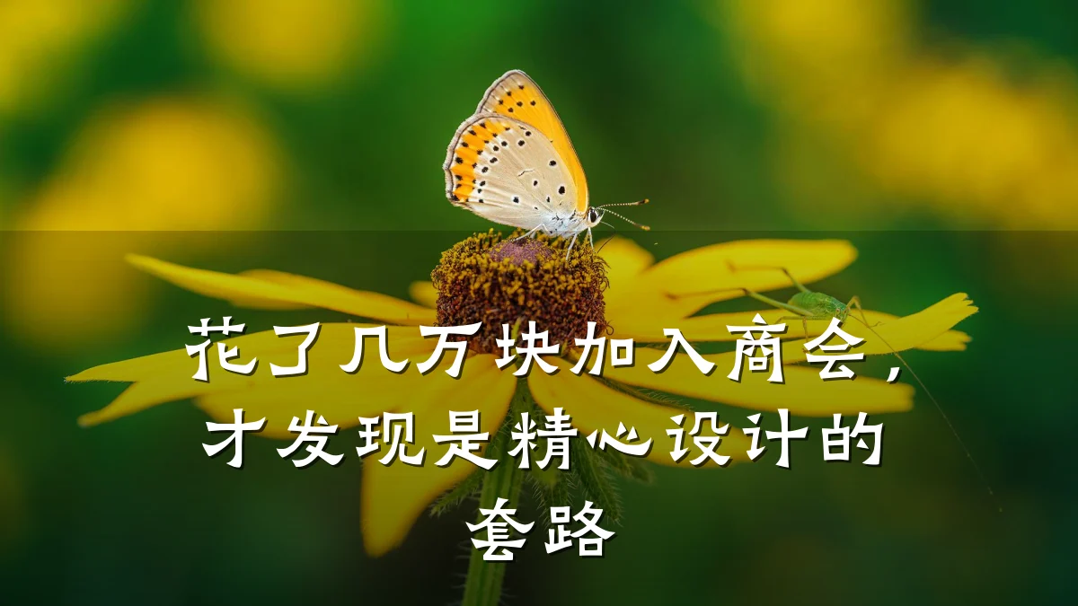 花了几万块加入商会，才发现是精心设计的套路