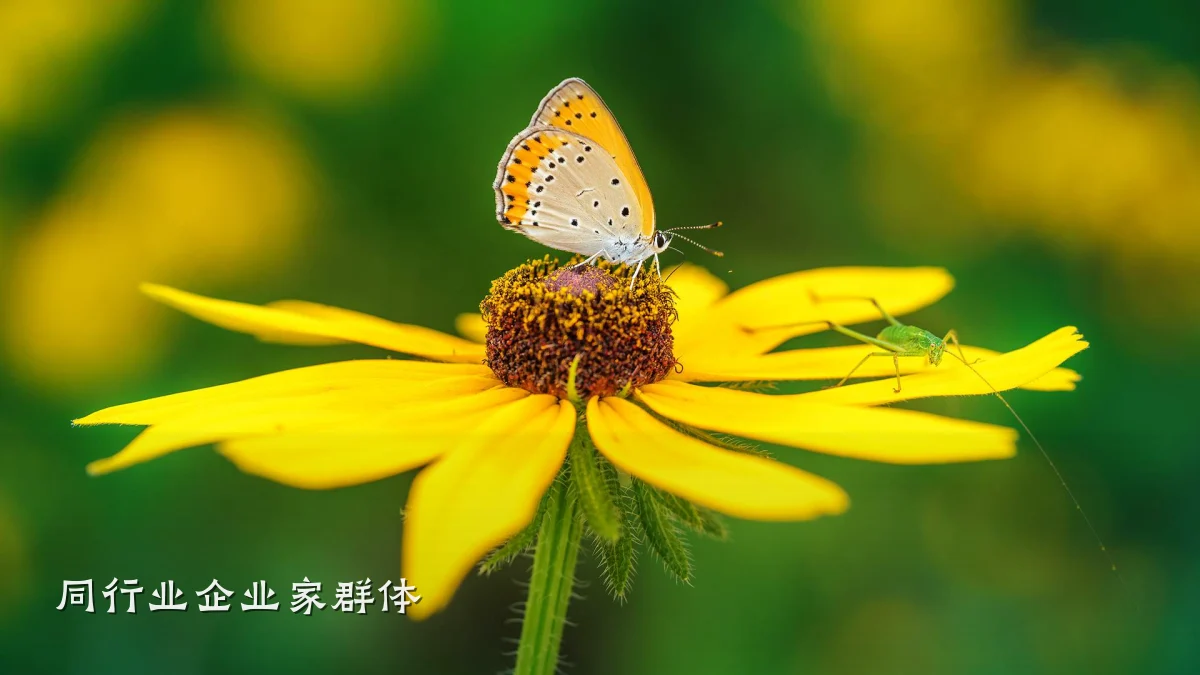 同行业企业家群体