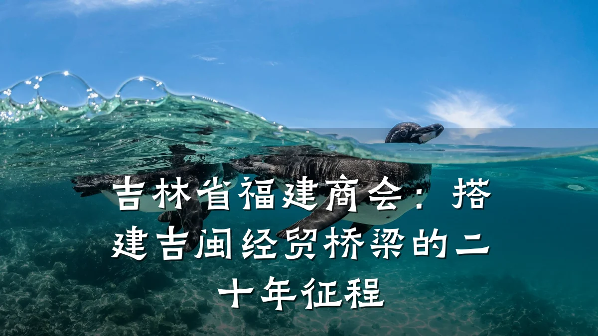 吉林省福建商会:搭建吉闽经贸桥梁的二十年征程