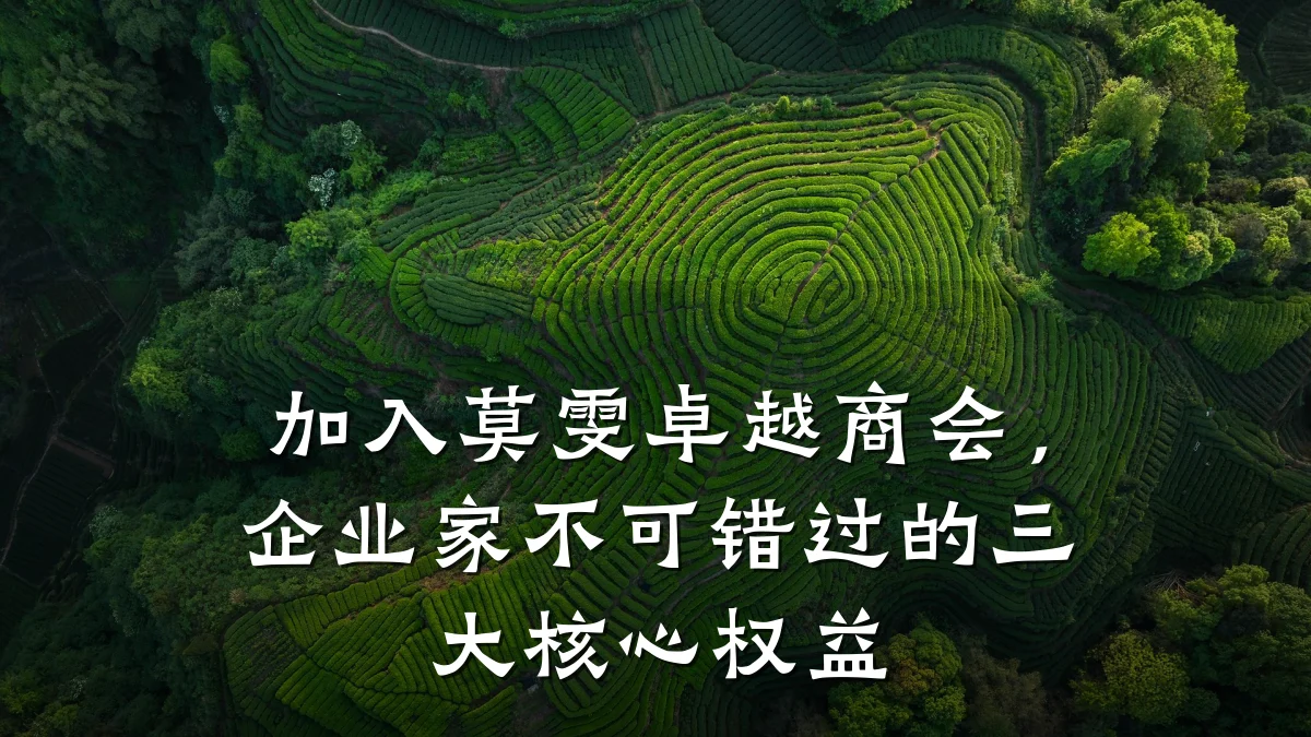 加入莫雯卓越商会,企业家不可错过的三大核心权益