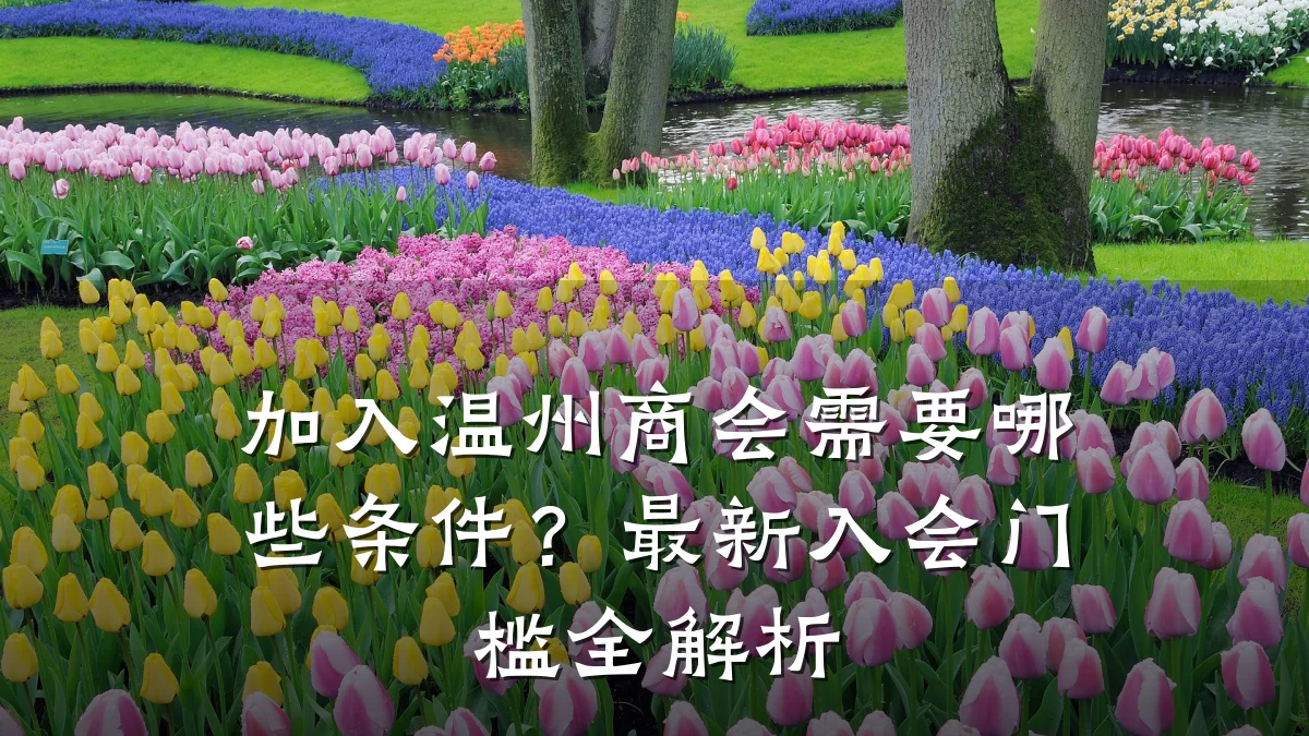 加入温州商会需要哪些条件?最新入会门槛全解析