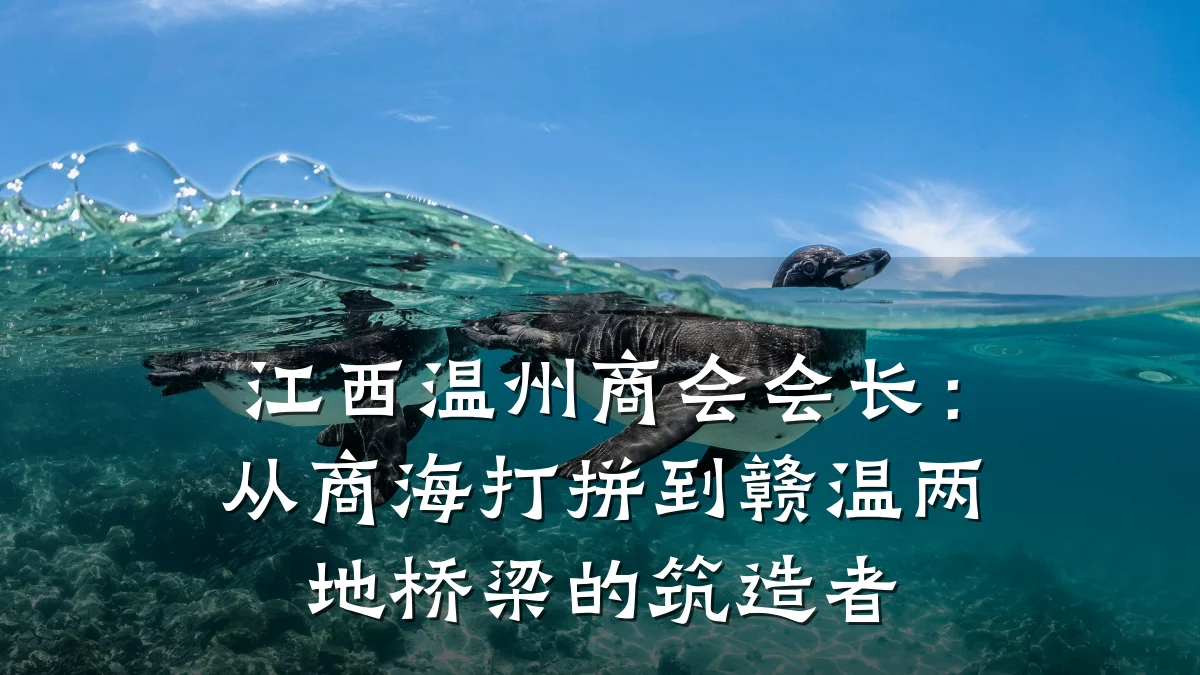 江西温州商会会长:从商海打拼到赣温两地桥梁的筑造者
