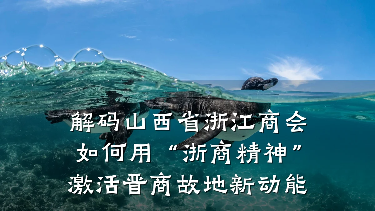 解码山西省浙江商会如何用“浙商精神”激活晋商故地新动能
