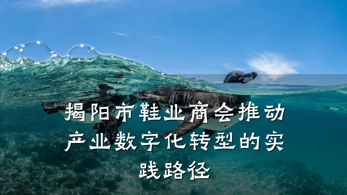 揭阳市鞋业商会推动产业数字化转型的实践路径