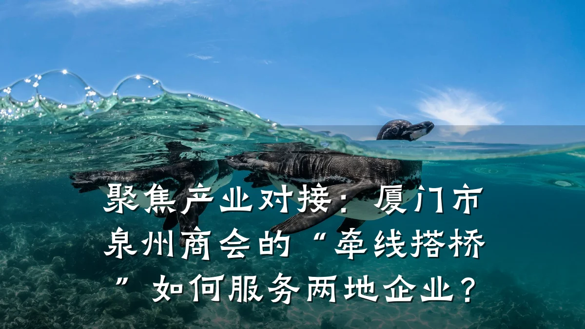聚焦产业对接:厦门市泉州商会的“牵线搭桥”如何服务两地企业?