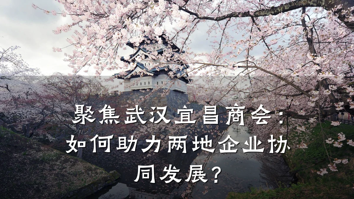 聚焦武汉宜昌商会:如何助力两地企业协同发展?