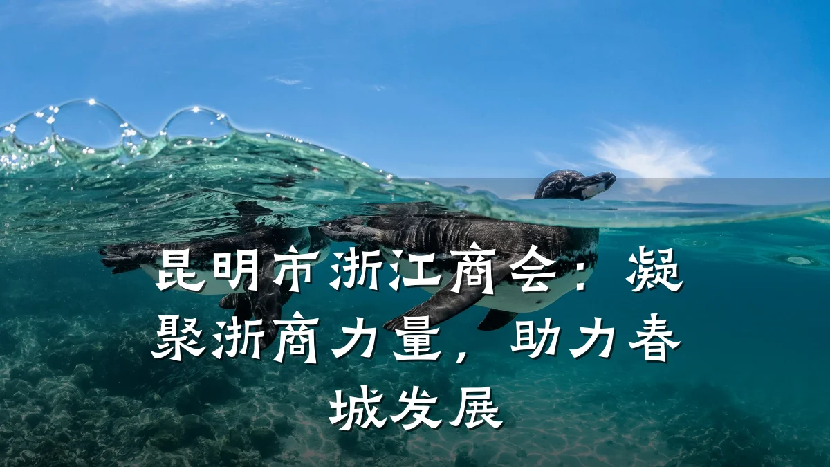 昆明市浙江商会:凝聚浙商力量,助力春城发展