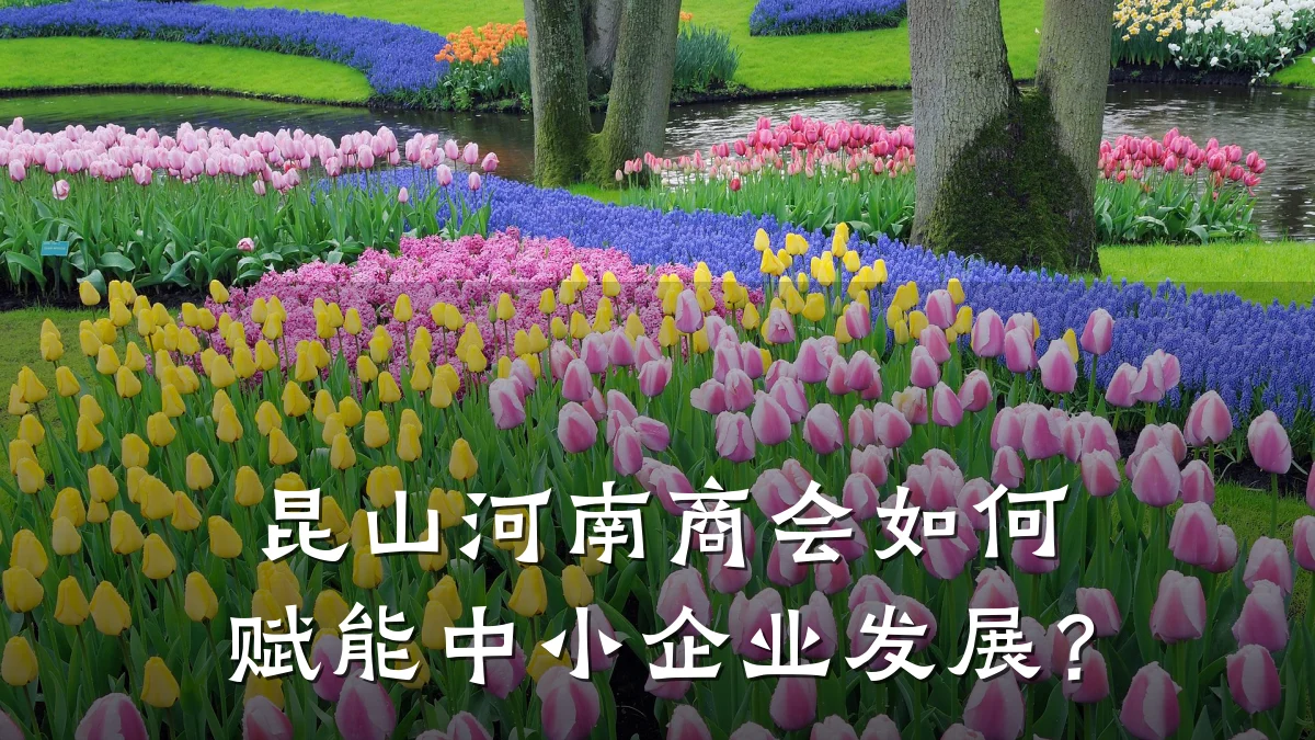 昆山河南商会如何赋能中小企业发展?