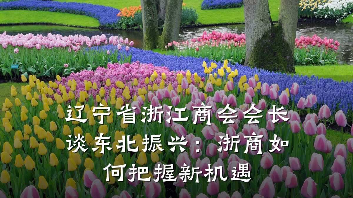 辽宁省浙江商会会长谈东北振兴:浙商如何把握新机遇