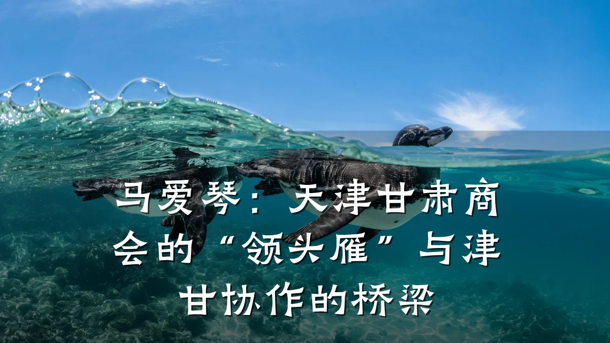 马爱琴:天津甘肃商会的“领头雁”与津甘协作的桥梁