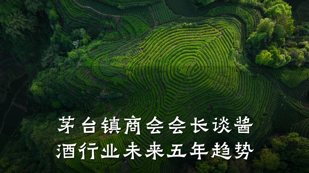 茅台镇商会会长谈酱酒行业未来五年趋势