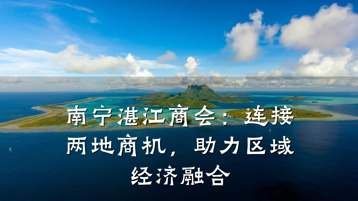 南宁湛江商会:连接两地商机,助力区域经济融合