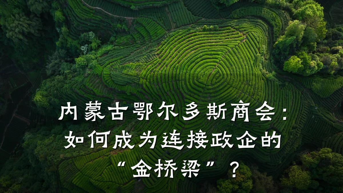 内蒙古鄂尔多斯商会:如何成为连接政企的“金桥梁”?