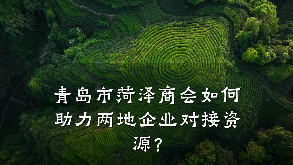 青岛市菏泽商会如何助力两地企业对接资源?