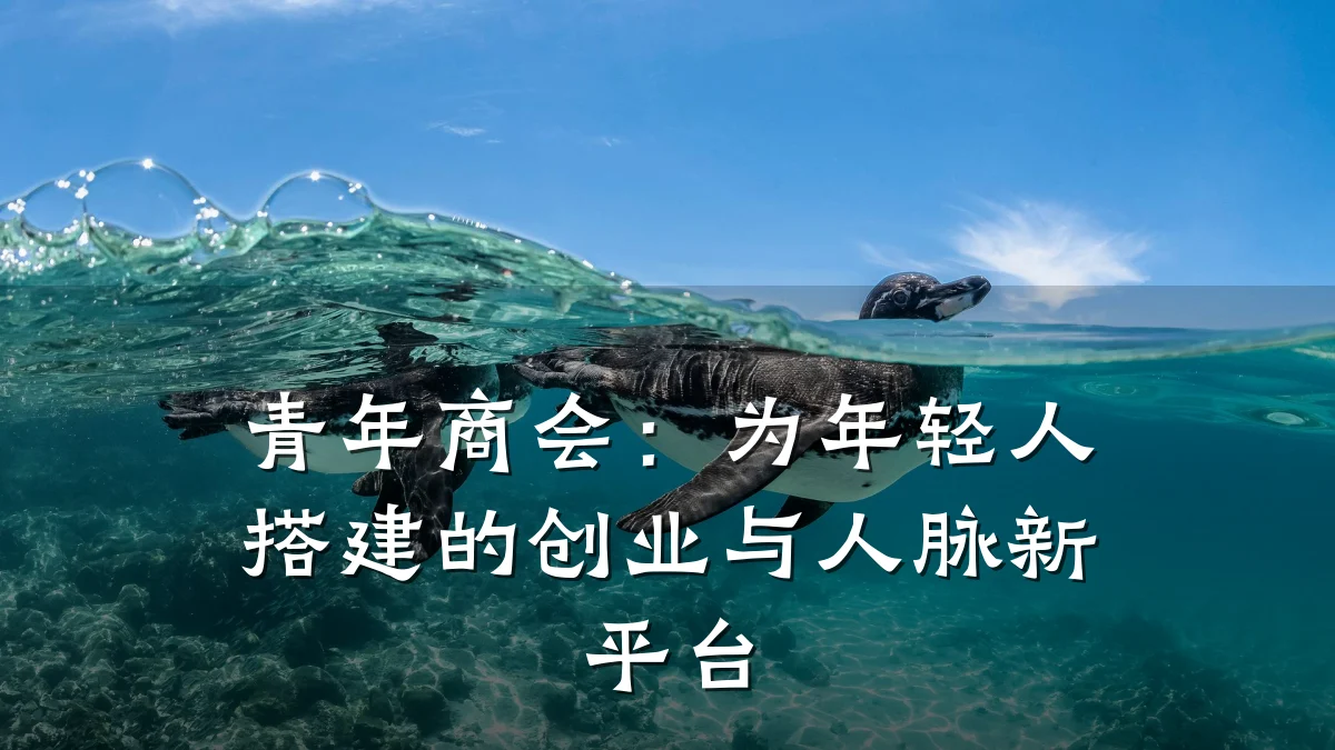 青年商会：为年轻人搭建的创业与人脉新平台