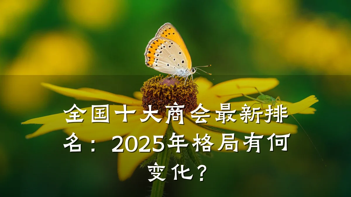 全国十大商会最新排名：2025年格局有何变化？