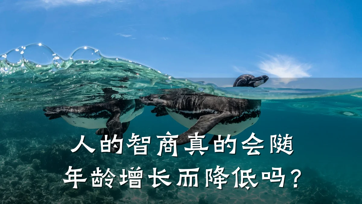 人的智商真的会随年龄增长而降低吗?