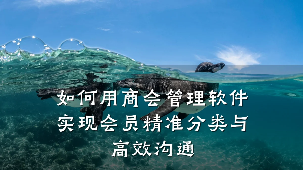 如何用商会管理软件实现会员精准分类与高效沟通