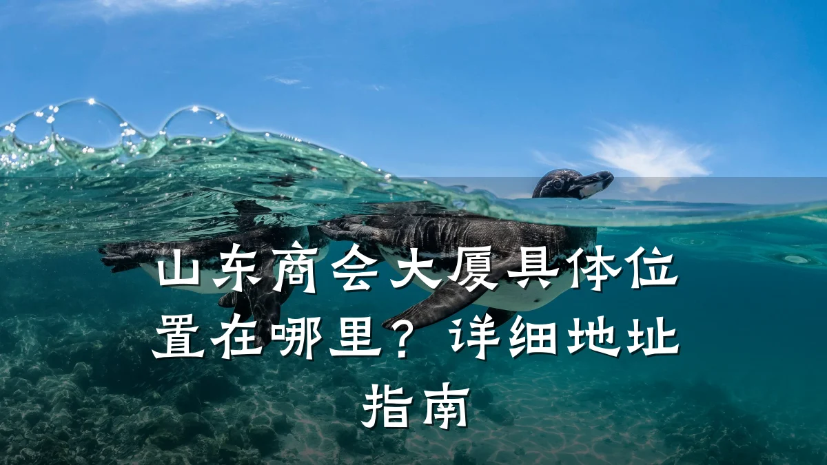 山东商会大厦具体位置在哪里?详细地址指南