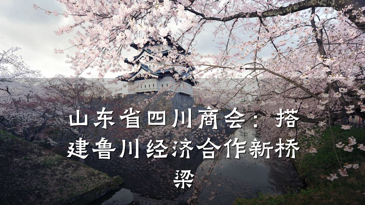 山东省四川商会:搭建鲁川经济合作新桥梁